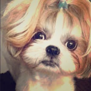 Meet your Posher, Gabrielle